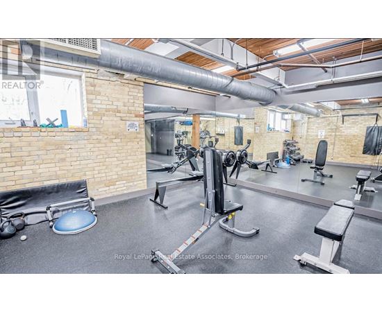 A gym with a variety of equipment including a squat rack, bench, and weights.