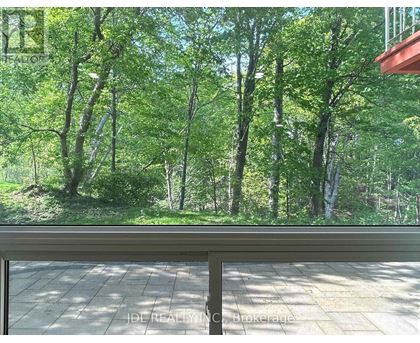 A view of a green forest from a window.