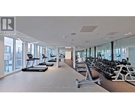 A gym with treadmills, exercise bikes and weights.