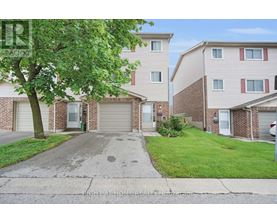 A tree is in front of a building with a driveway in front of it.