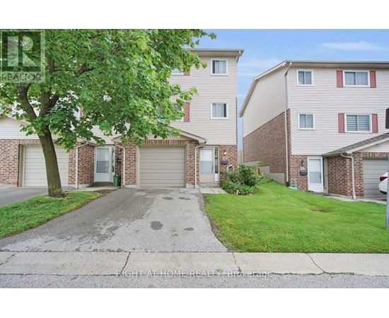 A tree is in front of a building with a driveway in front of it.
