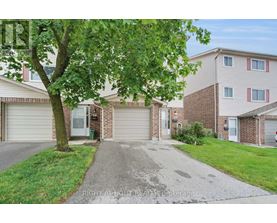 A tree is in front of a house with a driveway.