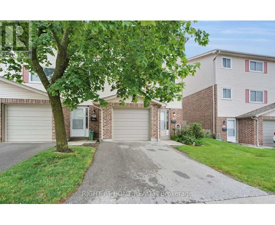 A tree is in front of a house with a driveway.