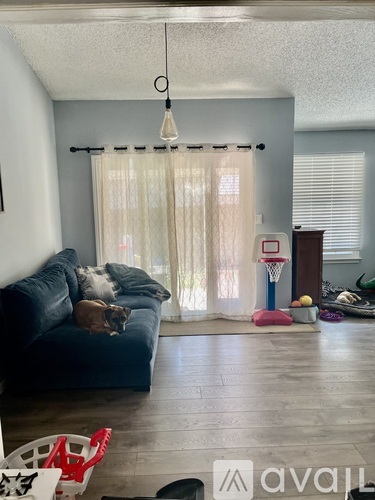 A dog is lying on a blue couch in a living room.