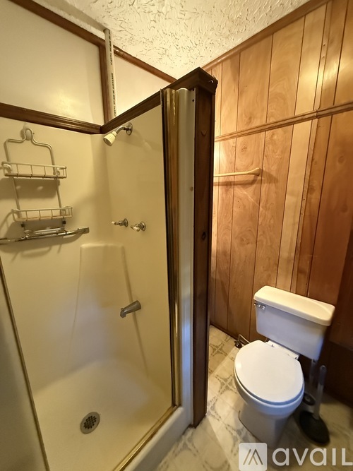 A white toilet is in a bathroom with a walk-in shower.