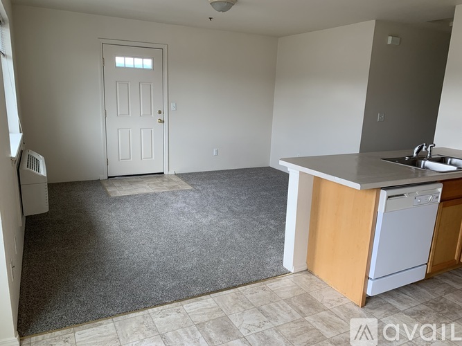 A kitchen with a white door, a sink, and a washing machine.