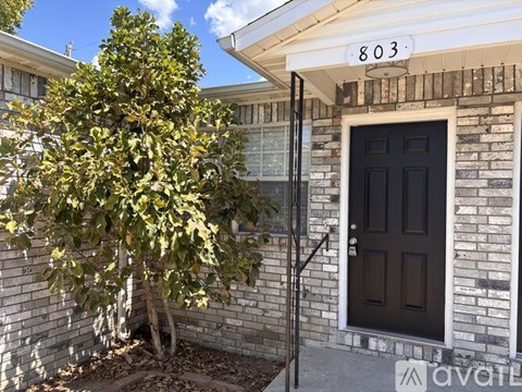 803 E 1St St 2 Beds Apartment for Rent