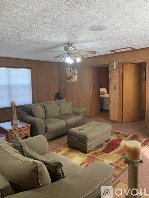 A living room with a grey couch and a ceiling fan.