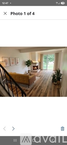A living room with a couch and a plant.