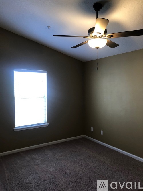 575 Oakleaf Plantation Parkway 2 Beds Apartment for Rent - Photo gallery 4