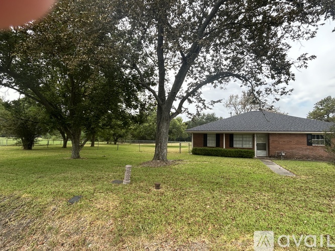 A house with a large tree in front of it.