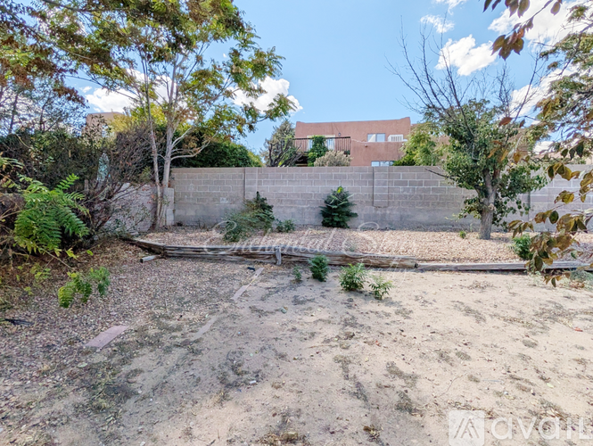 A backyard with a fence and a few trees.