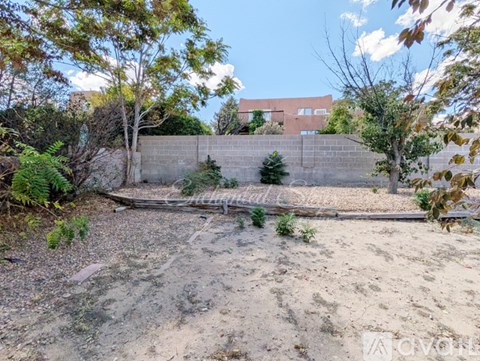 A backyard with a fence and a few trees.