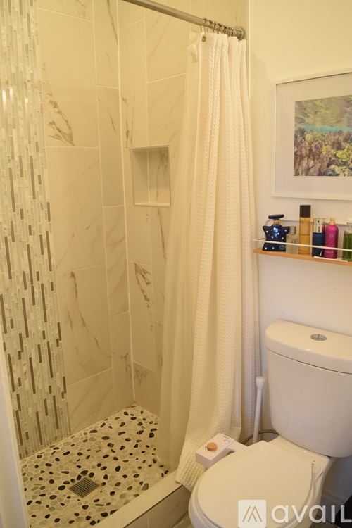 A white toilet sits next to a shower curtain in a bathroom.