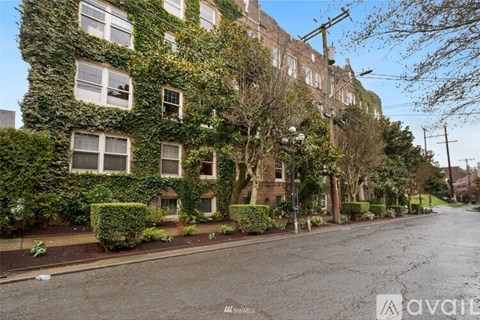 A street view of a row of houses with greenery on the walls.