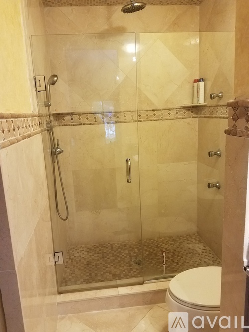 A bathroom with a walk-in shower and a toilet.