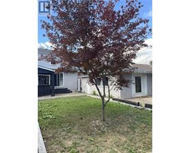 A tree with red leaves stands in a yard in front of a house.