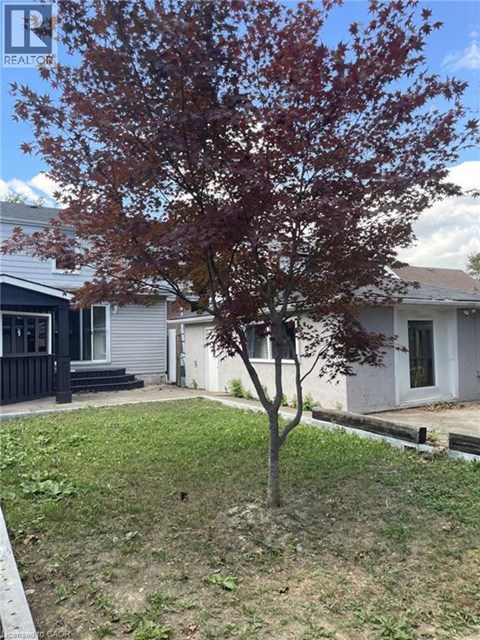 A tree with red leaves stands in a yard in front of a house.