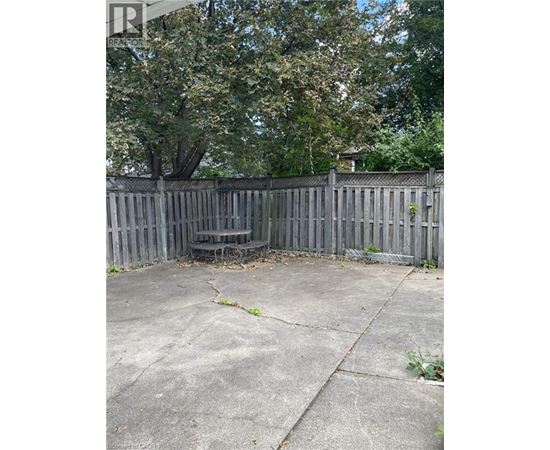 A backyard with a wooden fence and a tree.