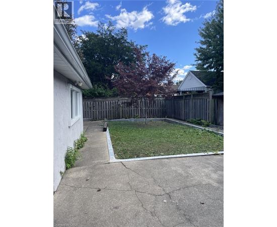 A backyard with a white house, a wooden fence, and a tree.