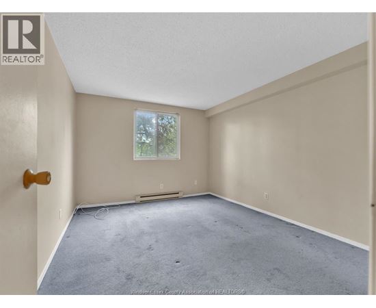 A room with a carpeted floor and a window showing trees outside.