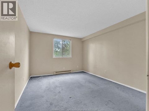 A room with a carpeted floor and a window showing trees outside.