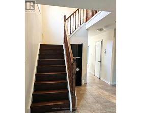 A staircase with a wooden handrail and dark brown steps.