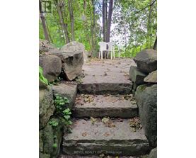 A white chair is placed on a stone staircase in a forest.