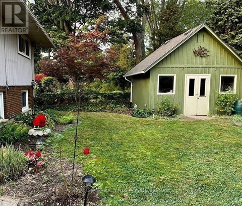 A green shed with a white door stands in a lush green yard.