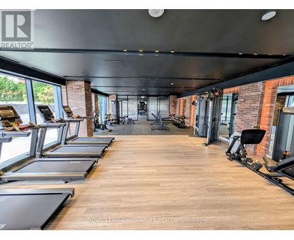 A gym with treadmills and exercise equipment.