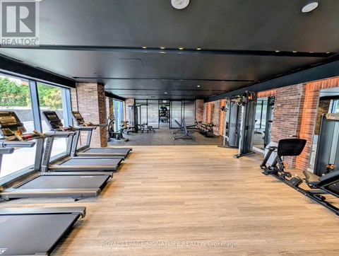A gym with treadmills and exercise equipment.