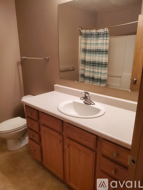 A bathroom with a toilet, sink, and shower.