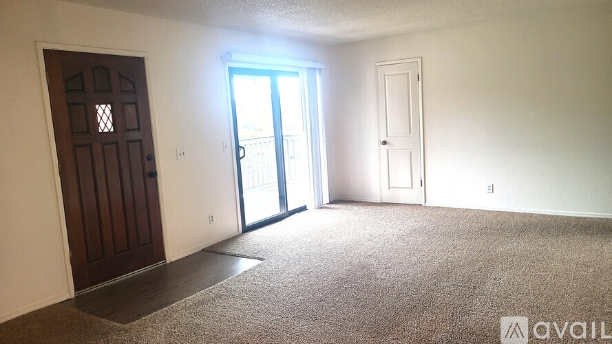 A room with a brown door, a white door, and a carpeted floor.