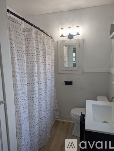 A bathroom with a toilet, sink, and shower curtain.
