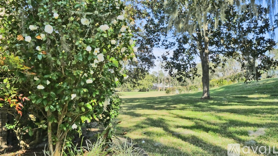 A tree with white flowers is in the foreground of a grassy area.