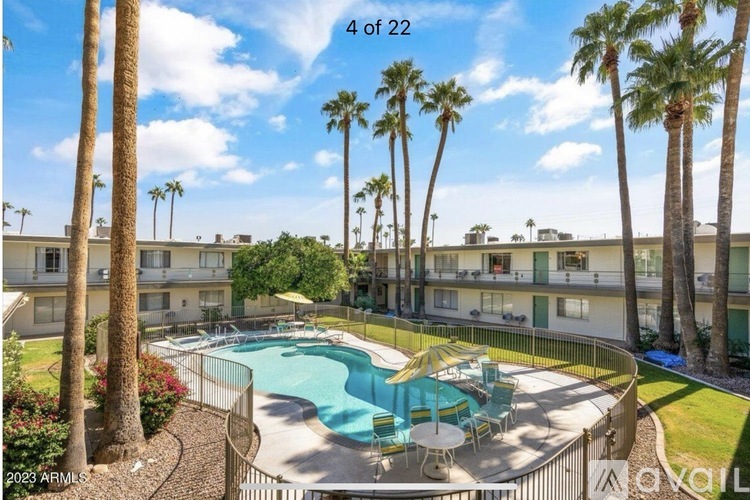 A pool surrounded by palm trees and chairs in a sunny outdoor setting.