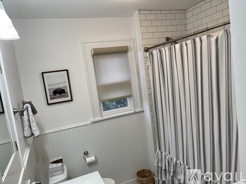 A bathroom with a toilet, a window, a shower curtain and a picture on the wall.