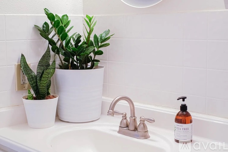 3000 Guadalupe St 1 Apartment for Rent - Photo gallery 2
