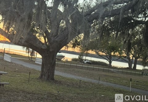 A large tree with Spanish moss hanging from its branches is in the foreground of a grassy area.