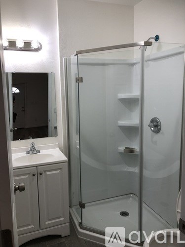 A white bathroom with a walk in shower and a sink.
