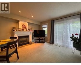 A living room with a fireplace and a television.