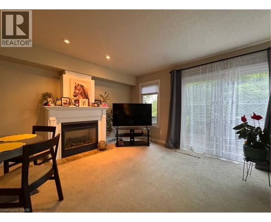 A living room with a fireplace and a television.