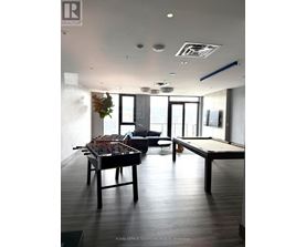 A pool table is in the middle of a room with a couch and a plant.