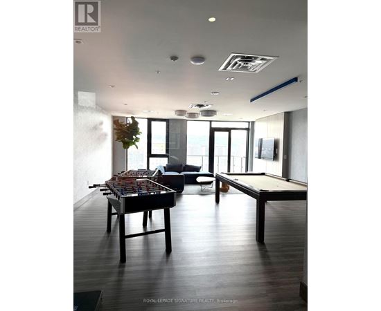 A pool table is in the middle of a room with a couch and a plant.