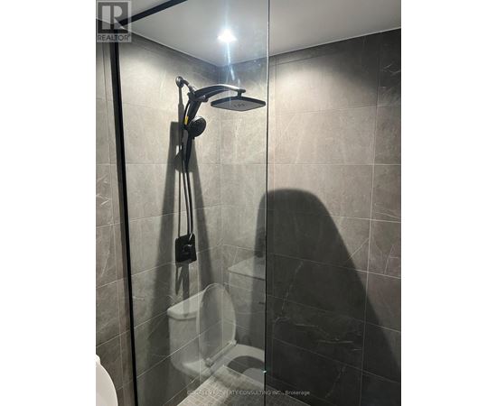 A shower area with a glass door and a white toilet.