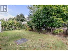 A backyard with a lawn and trees.