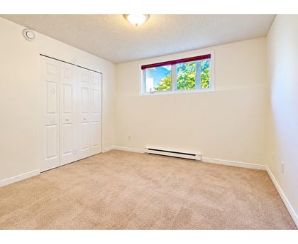 A room with a carpeted floor, a white door, and a window with a view of trees outside.