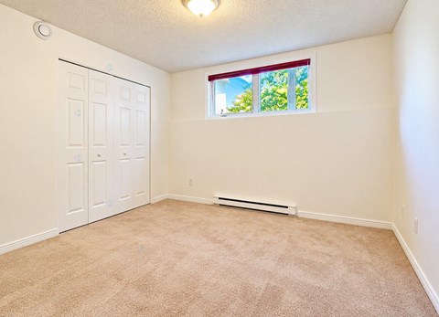 A room with a carpeted floor, a white door, and a window with a view of trees outside.