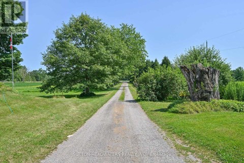 A gravel road stretches into the distance with trees on either side.