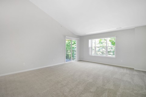 A large, empty room with a carpeted floor and a window with a view of trees.
